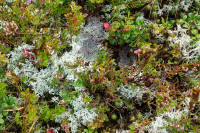 /album/gleinalpe-rossbachkogel-4-september-2025/gleinalpe-rosbachkogel-04-09-2025-5-jpg/